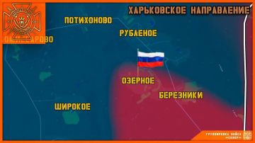 Группировка ВС РФ «Север» освободила Озерное