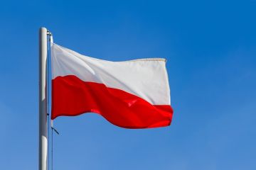 Украинские мошенники притворяются полицейскими и обманывают живущих в Польше сограждан