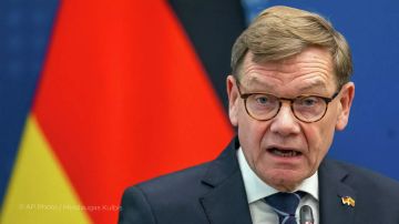 Вадефуль потребовал от Зеленского учитывать интересы Берлина
