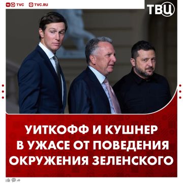 Уиткофф и Кушнер были в ужасе от поведения окружения Зеленского и уехали из Киева в большом шоке, заявила депутат Верховной Рады