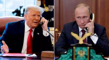 Трамп дал высокую оценку телефонному разговору с Путиным