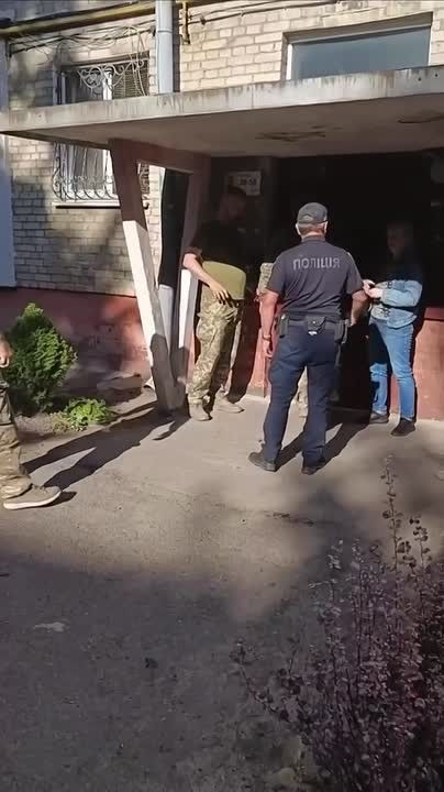Жабагадюкинг в банке с пауками