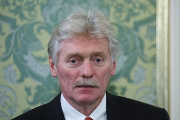 Песков: Стройных планов по урегулированию конфликта на Украине нет