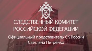 Официальный представитель СК России Светлана Петренко: