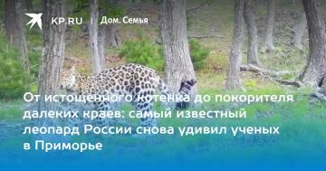 Леопард Leo 260M продолжает удивлять