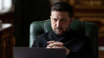 "Мясорубка": в МИД РФ рассказали о любимой игрушке Зеленского с детства
