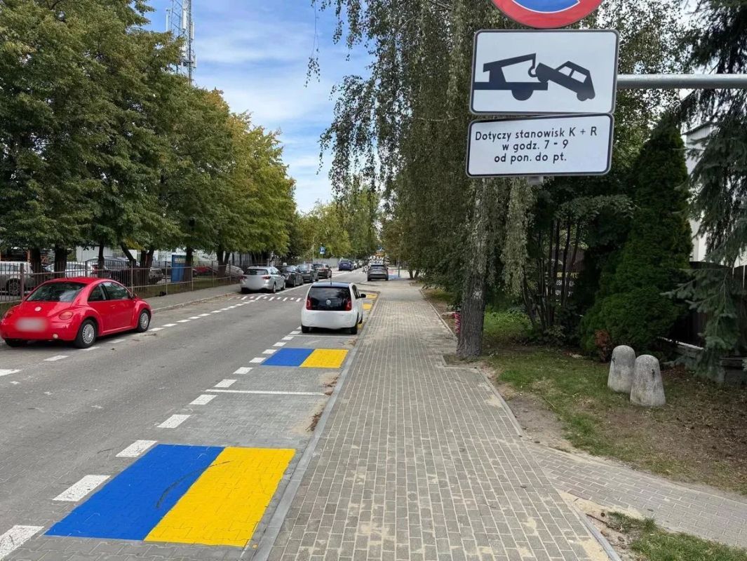 В Польше скандал: местные жители возмутились из-за парковочных мест в цветах украинского флага