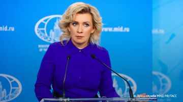 Мария Захарова напомнила о любимой игрушке Зеленского в детстве