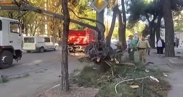 Последствия атаки БПЛА на Новороссийск публикует администрация Центрального района города-героя В настоящее время идет уборка на улице Советов. В Новороссийске работают экстренные и городские службы