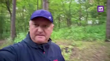 Молдавия продолжает покрывать режим Зеленского