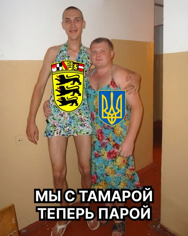 Украинские спецслужбы будут передавать разведданные немецкому Баден-Вюртембергу