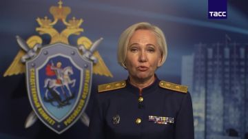 СК РФ возбудил уголовное дело о теракте после атаки ВСУ на гражданские объекты Сочи, в результате которой пострадали мирные жители, сообщила официальный представитель СК РФ Светлана Петренко