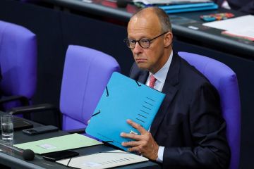 Депутат Курио призвал Мерца прекратить обслуживать Киев