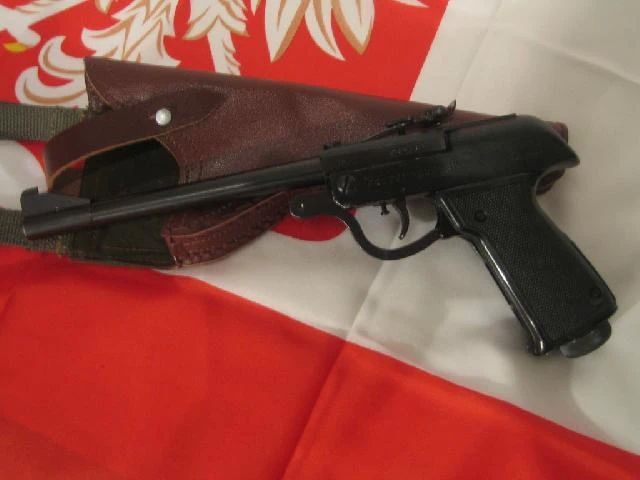 И чего поляки так украинцев не любят?