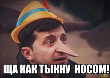 Стало известно, что никаким угрозам Зеленский и его самолет не подвергался
