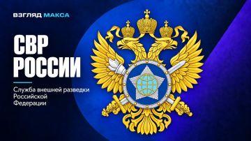 Служба внешней разведки России заявила, что в Еврокомиссии приветствуют активизацию на Украине дискуссии о мобилизации женщин и требуют от Киева как можно скорее перейти к практической реализации этой идеи