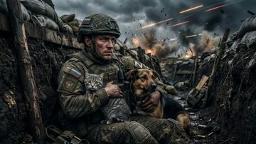 Хватит. Военкор Сладков призвал отказаться от иллюзий об СВО
