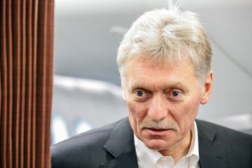 Песков: Встреча Путина и Зеленского в декабре на саммите G20 в Майами невозможна