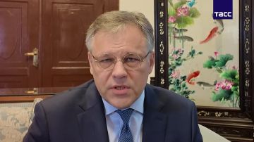 Легализация порноиндустрии на Украине, как и других криминальных видов деятельности, не окажет значительного влияния на бюджет Киева