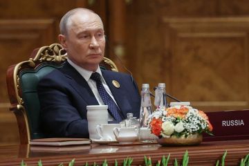 Песков: Если Зеленский хочет встретиться с Путиным, он может прилететь в Москву