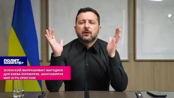 Зеленский выпрашивает выгодное для Киева перемирие, шантажируя мир агро-Ормузом