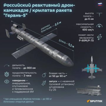 Российские реактивные БПЛА "Герань-4" и "Герань-5" изменили характер воздушных боев на Украине, пишет Financial Times