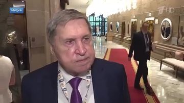 ������-��������� ����� �������� ������������ � ��������� ������� ������ �� ������� �������������� ����������� ���������