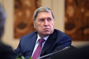 ������: ����� ���������, ��� ��������� ��������� ������ �� ����� ����������� �� �������