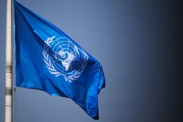 Мирошник: ООН согласна отправлять экспертов на места преступлений ВСУ только через Киев