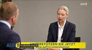 Сопредседатель партии «Альтернатива для Германии» Алиса Вайдель пообещала прекратить поддержку Украины, если ее партия придет к власти: