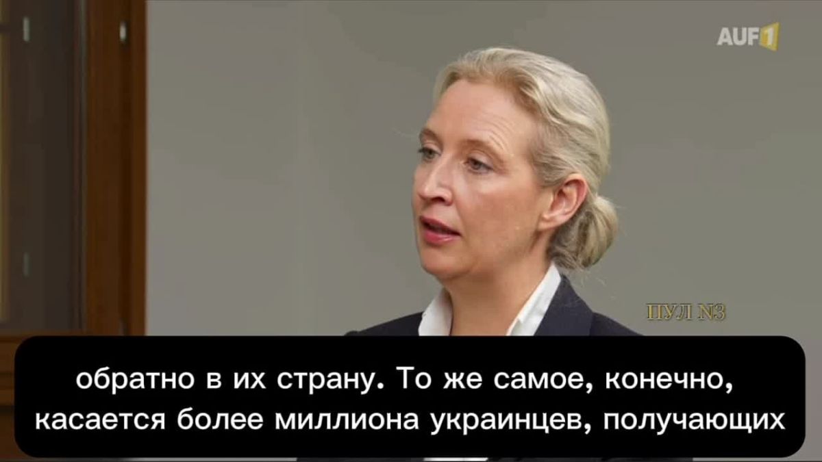 Лидер «Альтернативы для Германии» Вайдель - рассказала, что отправит украинцев призывного возраста обратно на Украину, если придет к власти: