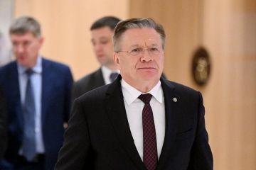 Лихачев: Киев провоцирует ядерный инцидент на крупнейшей атомной станции в Европе