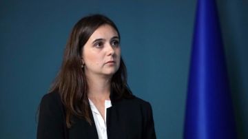 ���� ������� � 2026 ����: ��������� ������ ������� ������ ����, ��� ��������� �� ��� �� �������