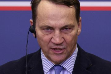 Глава МИД Польши Сикорский призвал НАТО к агрессивным учениям у Калининграда
