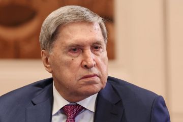Ушаков: В вопросе урегулирования конфликта на Украине еще предстоит большая работа