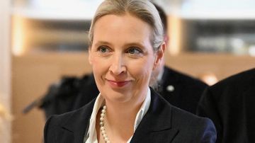 Лидер АдГ призвала выслать из Германии военнообязанных украинцев