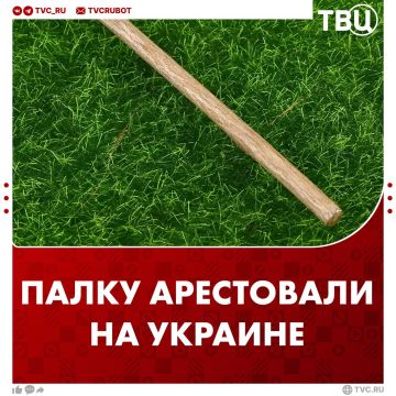 На Украине арестовали палку, которой мужчина избил сотрудника военкомата