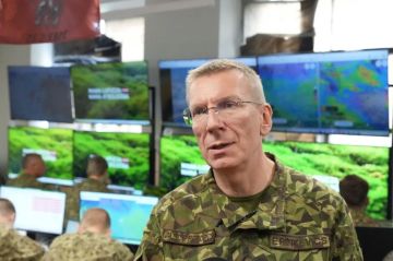 Русских Латвии нельзя рассматривать, как единый блок, заявил президент Ринкевичс