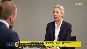 "Альтернатива для Германии" призывает сократить помощь Украине и вернуть сотни тысяч украинцев домой