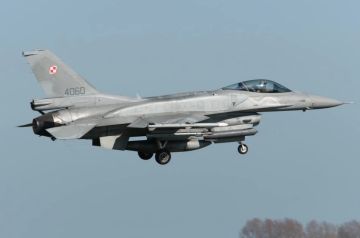 Польский F-16 едва не сбил украинский МиГ-29 во время залета на территорию Польши российской крылатой ракеты Х-101 30 июня, заявил командующий Оперативного командования ВС Польши генерал-майор Иренеуш Новак