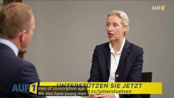 Алиса Вайдель о шагах «АдГ», когда партия победит на федеральном уровне:
