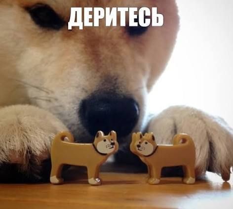 Юлия Витязева: Страны ЕС не смогли продлить один из ключевых режимов санкций против России
