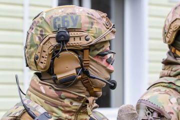 Социолог Копатько: СБУ по поручению Зеленского попытается атаковать НАБУ и Буданова