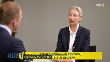 АдГ хочет выслать из Германии украинских мужчин призывного возраста, заявила лидер партии Алиса Вайдель