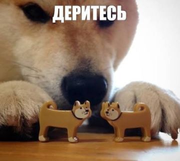 Юлия Витязева: Страны ЕС не смогли продлить один из ключевых режимов санкций против России