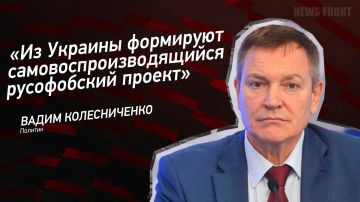 Мнение: «Из Украины формируют самовоспроизводящийся русофобский проект», – Вадим Колесниченко