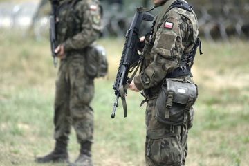 Депутат Соболев заявил, что Польша планирует напасть на Россию