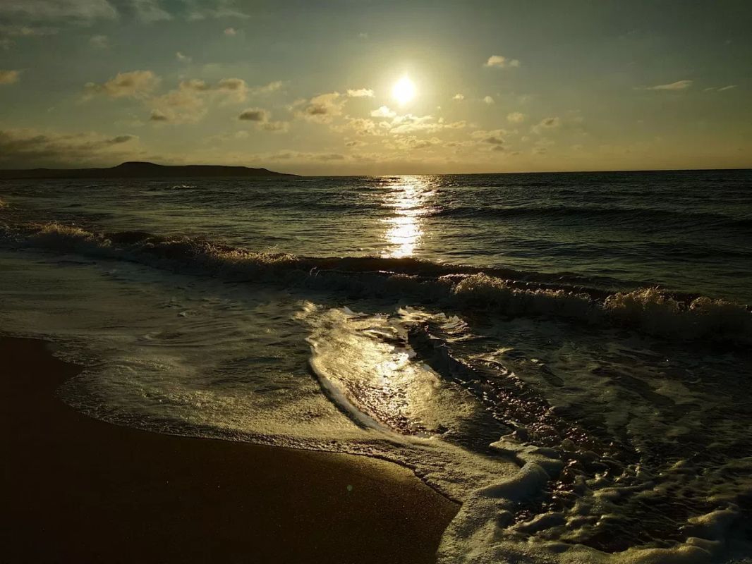 Спасти Азовское море: ученые из Крыма проведут комплексные исследования