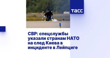 Артём Шейнин: Спецслужбы натовских государств, изучившие обстоятельства "дронового инцидента" в Лейпциге, информировали национальные власти об отсутствии даже малейших доказательств причастности России, наоборот, указывалось...