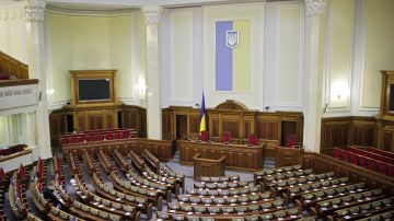 Депутат Рады Безуглая указала на проблемы с властью на Украине на фоне истории с Кравченко
